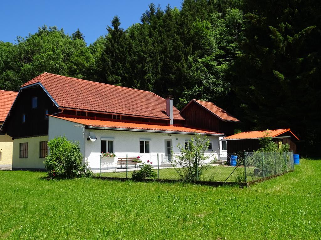 Haus Im Gruenen - Gmundennaehe Pinsdorf Екстериор снимка